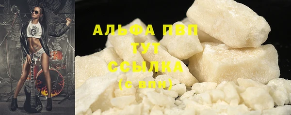 дмт Инсар