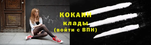 МДПВ Инта