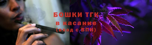 молекула духа Иннополис