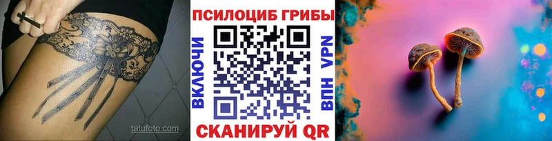 Псилоцибиновые грибы Psilocybe  дарнет шоп  Находка 