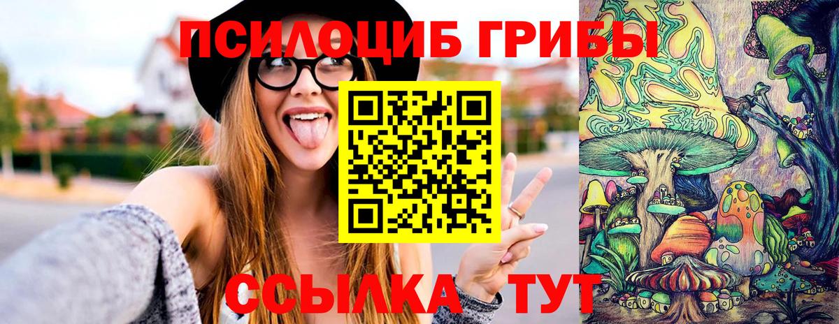 Псилоцибиновые грибы Psilocybe Находка