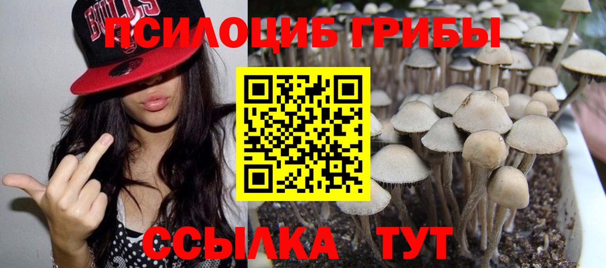 Находка  Псилоцибиновые грибы Psilocybine cubensis  Псилоцибиновые грибы Magic Shrooms  Вход с VPN 